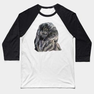 Beautiful Millie, the black mini lop Baseball T-Shirt